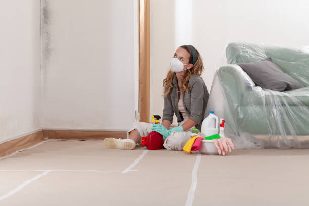 Reliable Mold Remediation contractor in La Plata, MD by WQB Mold Removal